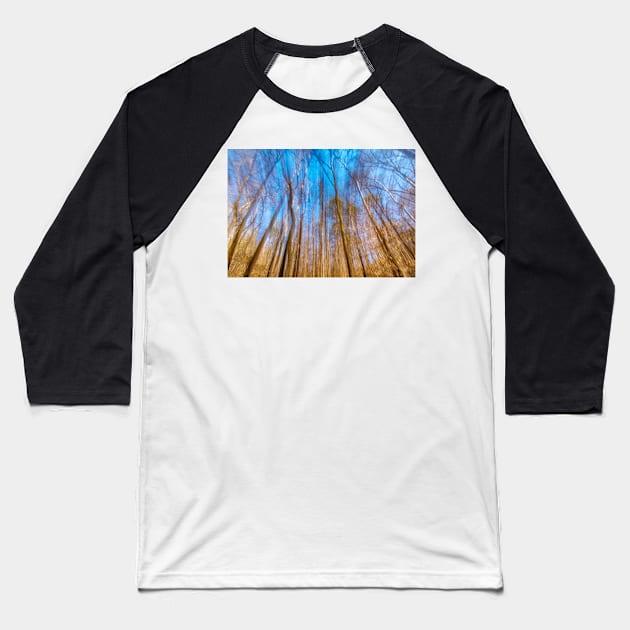 In the Tree Tops Baseball T-Shirt by Ckauzmann